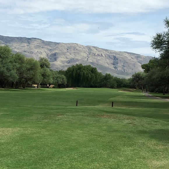 Meet your Posher, Philip - Picture 7 of 8